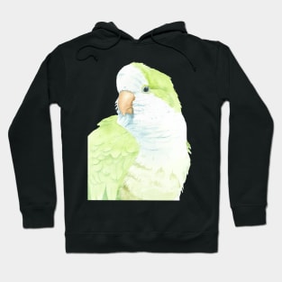 monk quaker green parakeet watercolor portrait Hoodie